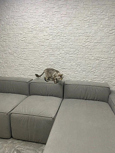 Фото покупателя, оценка 5 - 2